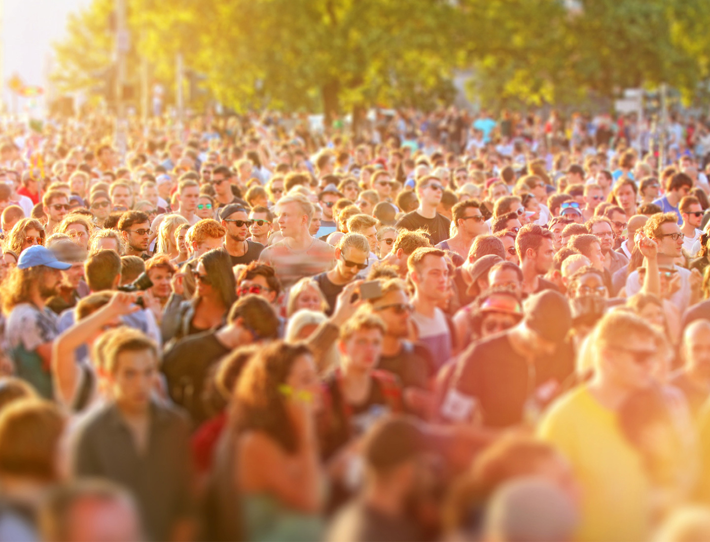 A large crowd gathers outside at a music festival. The warm sunlight is filtering through the trees.