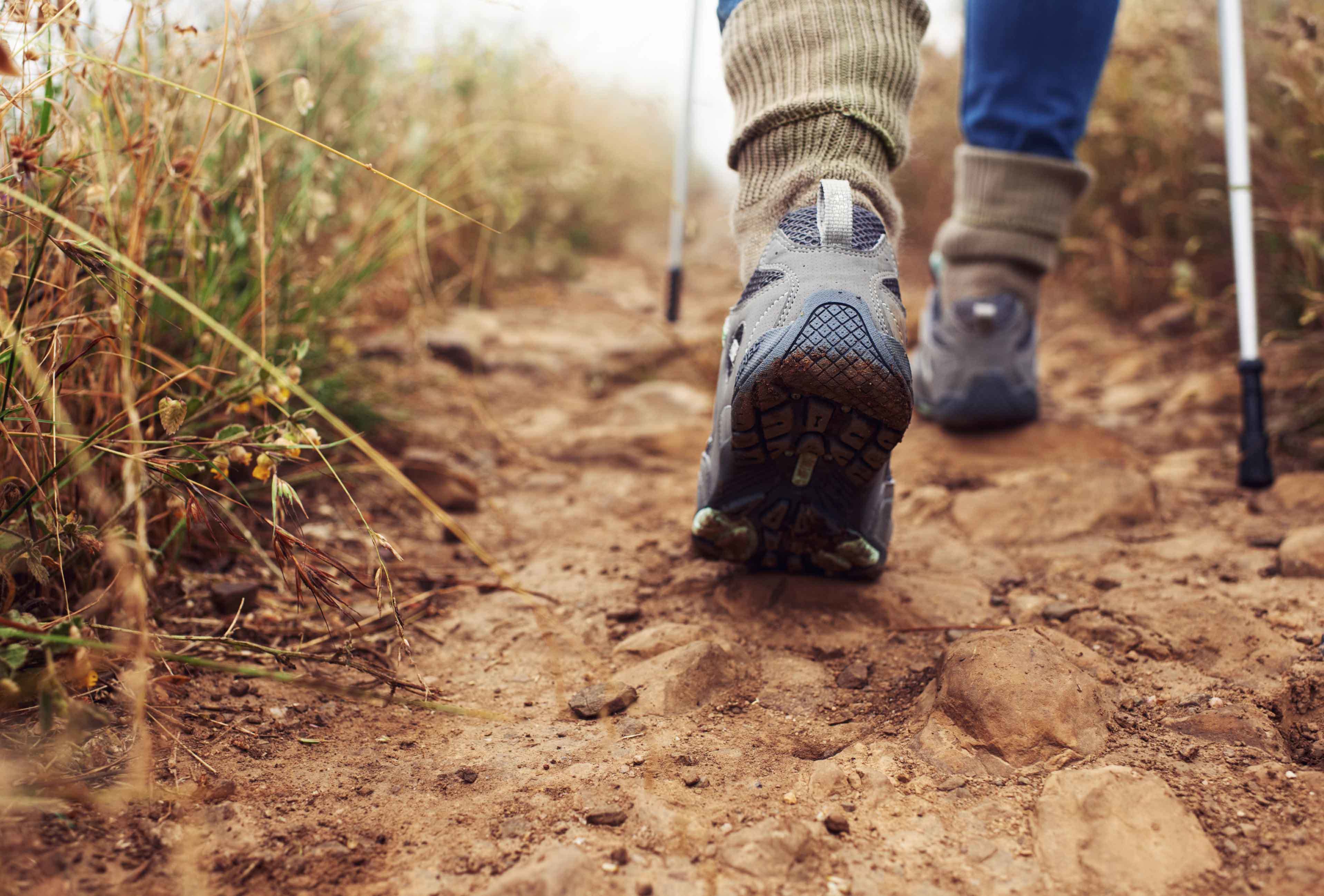 A closeup view of the backs of a person's hiking boot-clad feet as they walk down a trail.